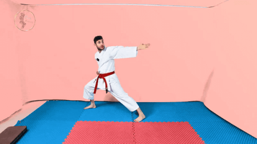 کاتا و کیهون علم کاراته